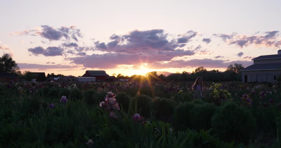 A young girl walks though a field of flowers at dusk