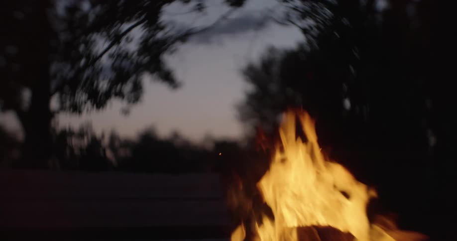 Flames of campfire waver as they rise and burn among trees in the woods