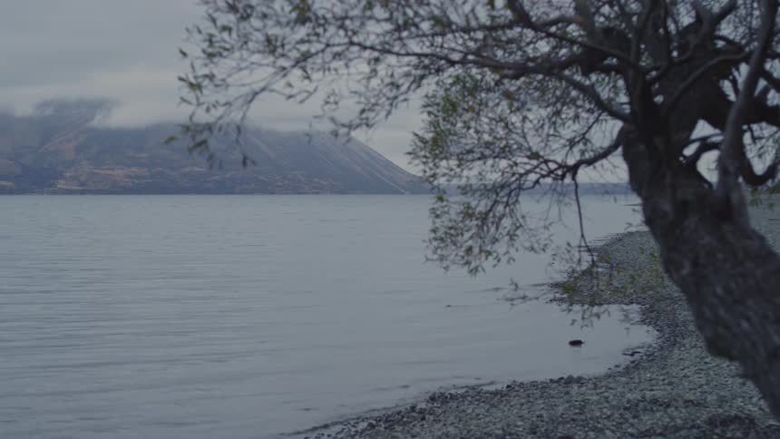 Landscape of a tree in the foreground in front of a lake and mountains in the background on a cloudy day