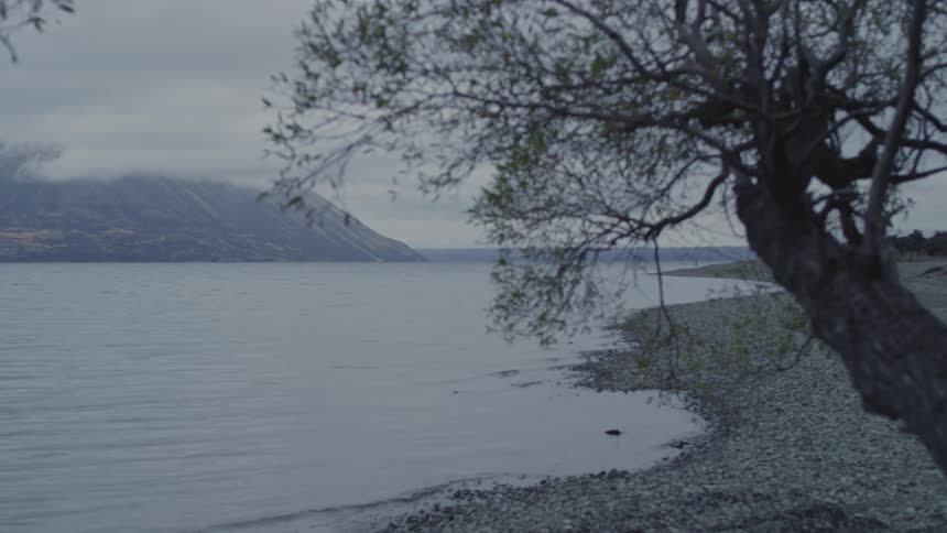 Landscape of a calm lake