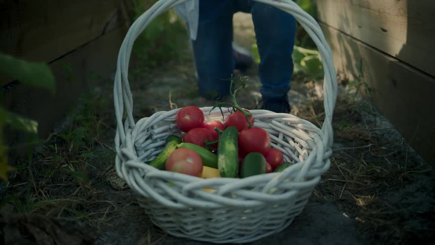 Woman putting vegetables inside a white basket