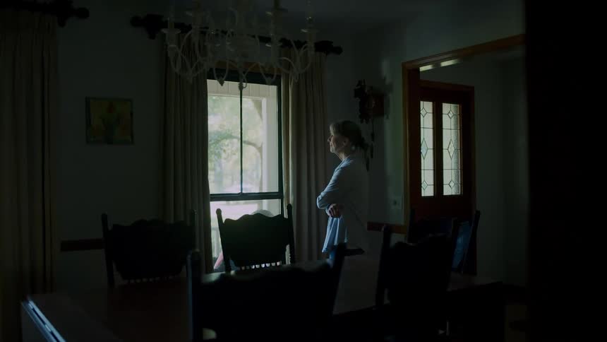Woman in a room looking out the window