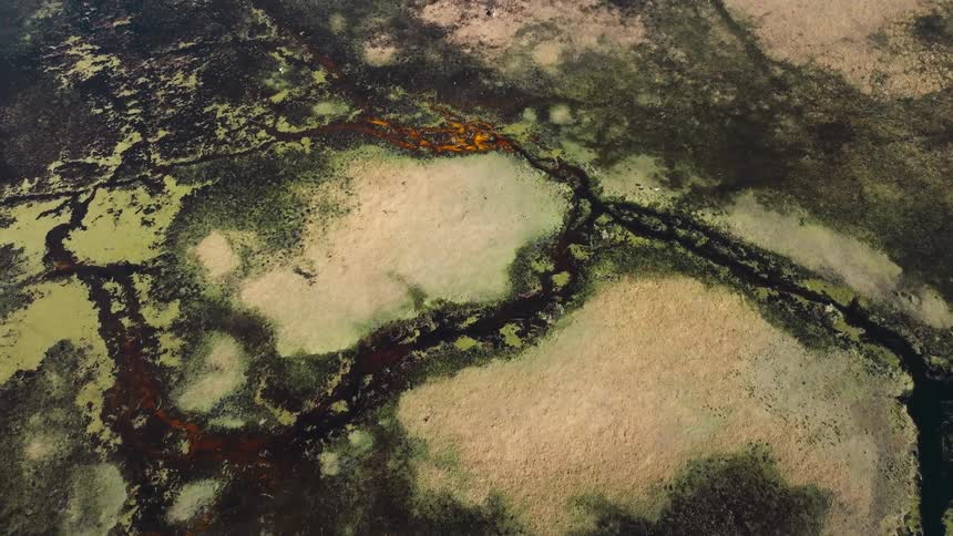 Aerial view of rivers with moss and soil of a savanna
