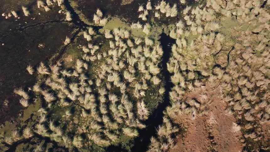 An aerial view of a landscape
