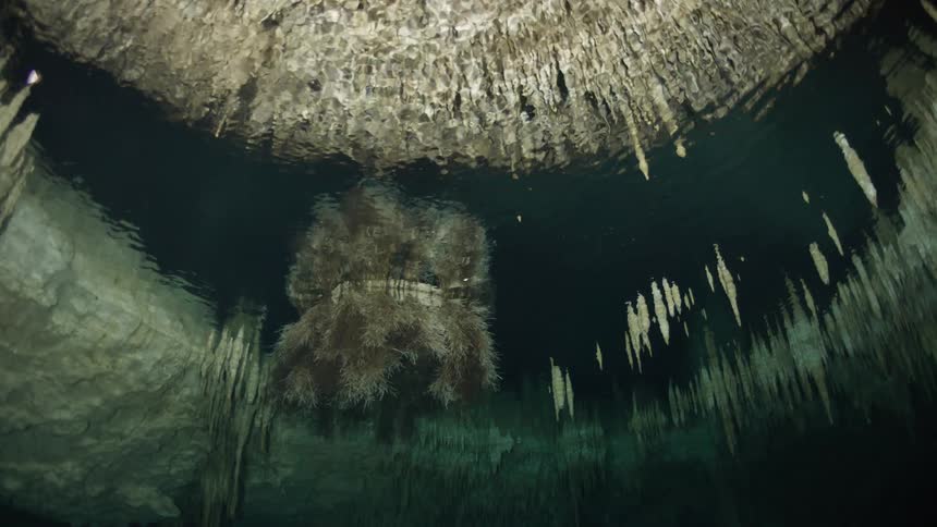 Submerging in a reflective lake