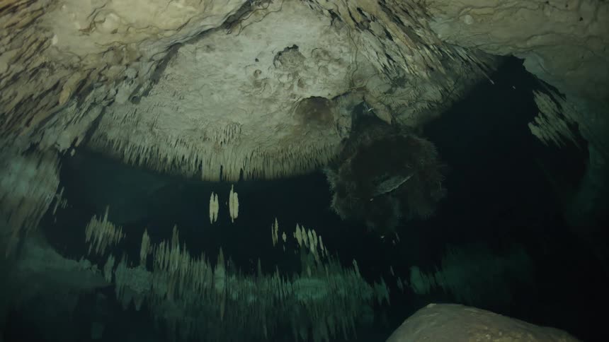 Small fish swim near the spiky rock formations covering the ceiling in an underwater cave