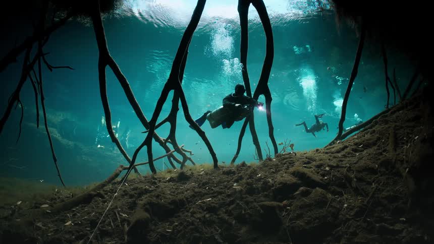 Scuba divers swim through a pool containing submerged trees during the day