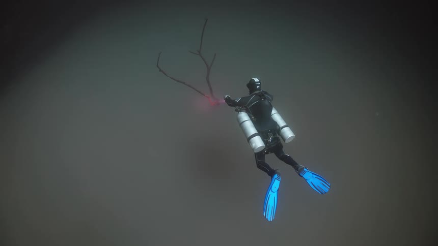 Scuba diver floats in the water near a submerged tree