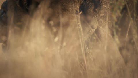 Motion State featured clip