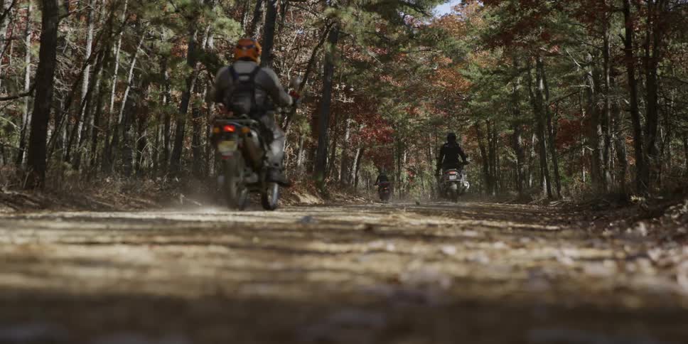 Several people ride motorbikes through the forest