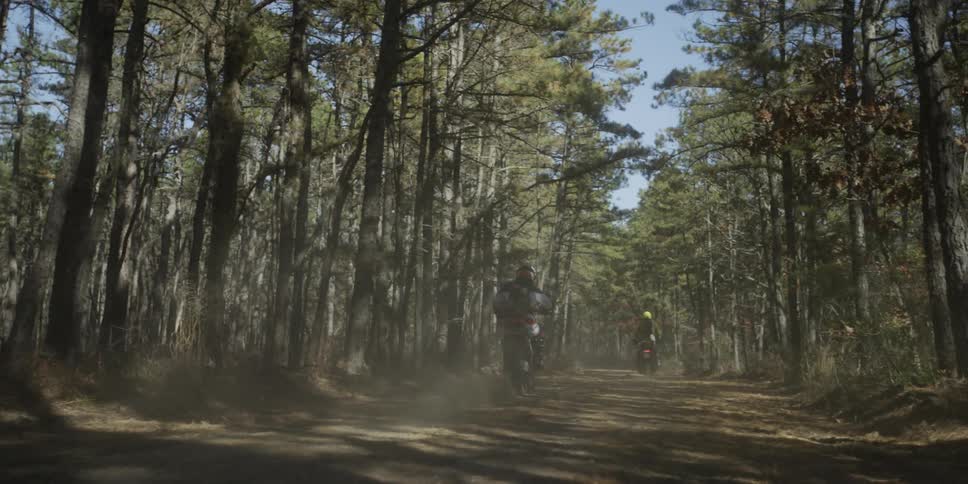 Dirt bike riders ride through a forest trail