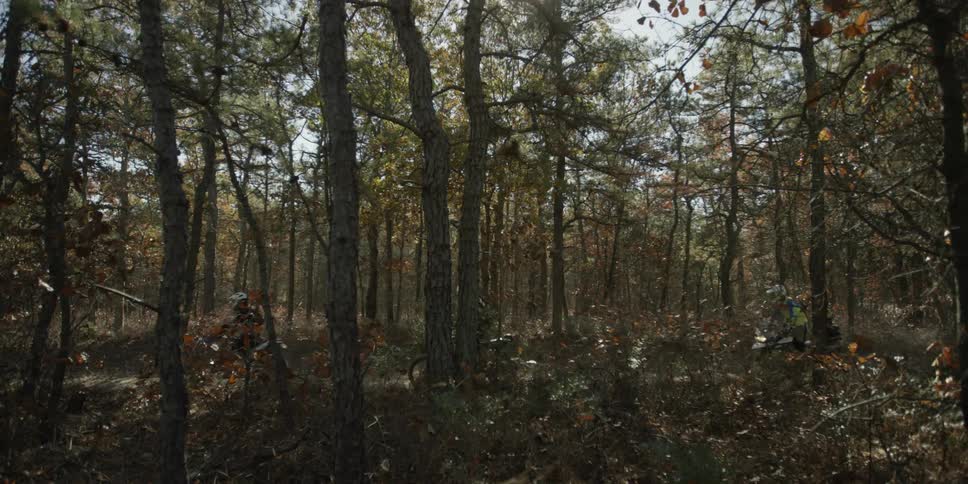 People riding motorcycles through the forest