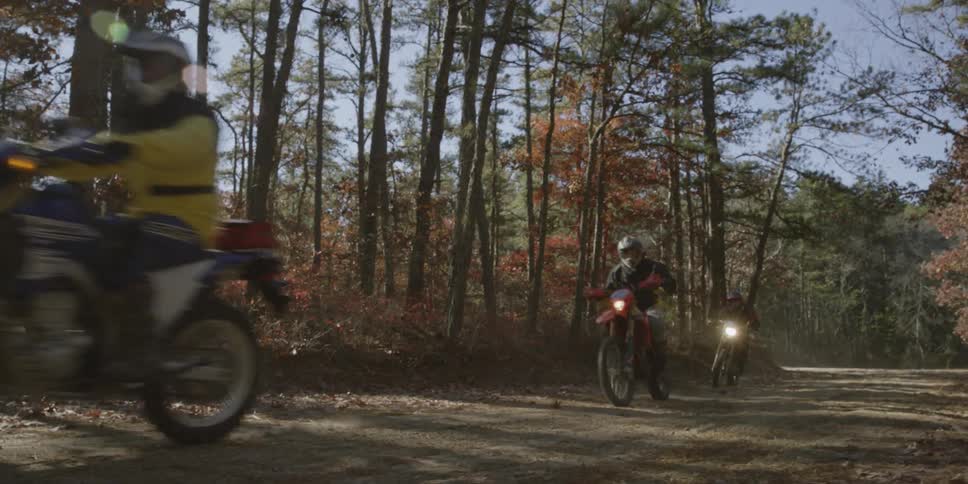 Dirt bike riders ride through a forest trail