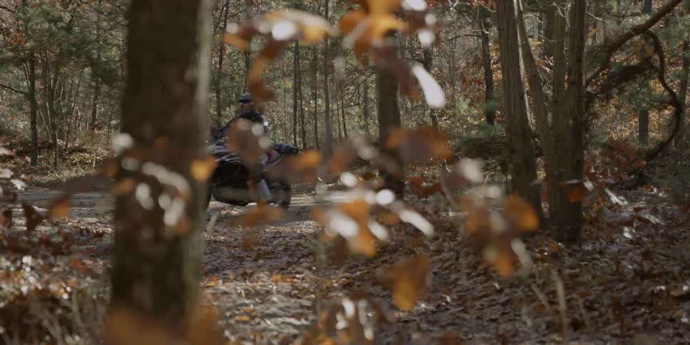 A motorcycle rider turns off the road into the forest