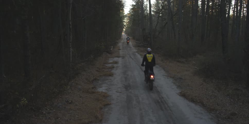 Several men ride motorbikes through a wooded area