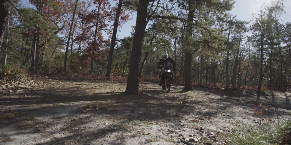 People are riding motorcycles through the woods