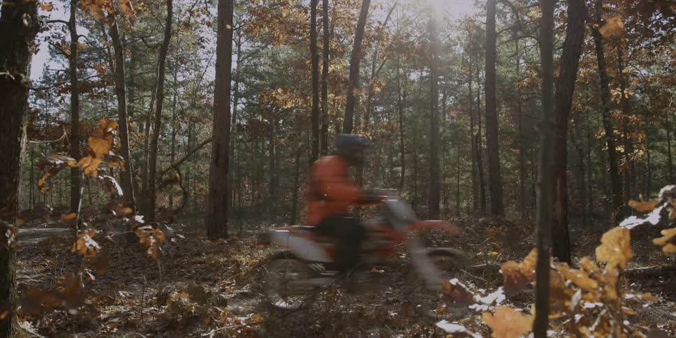 A person rides a motorbike in the woods
