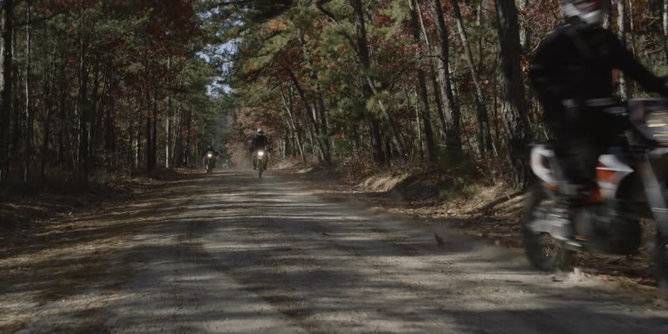 A group of motorcyclists riding on a narrow road in a forest