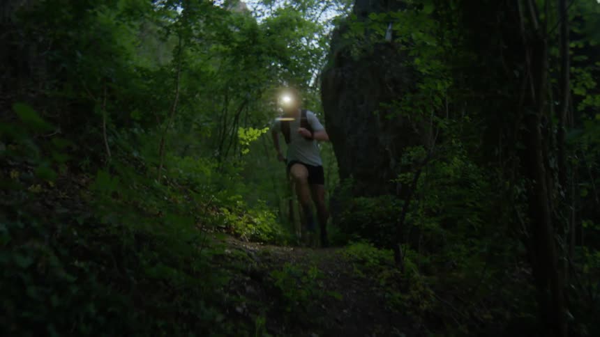 A man is running through the forest