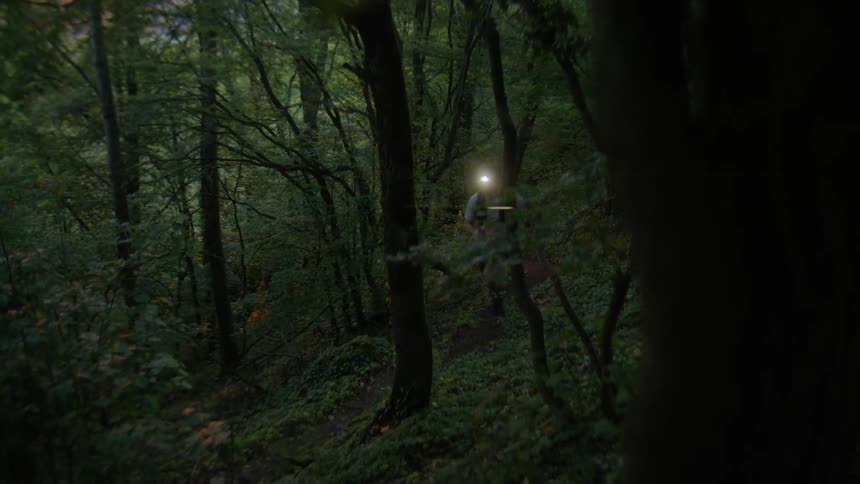 Runner with a headlamp navigating a dense forest trail