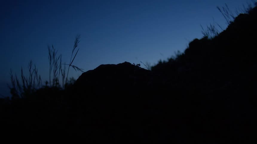 A person steps on a rock while running down a hillside at night