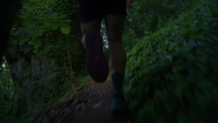 Closeup of a runners feet on a forest trail in the early morning