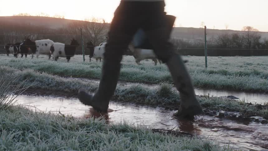 A farmer walks through the mud near goats