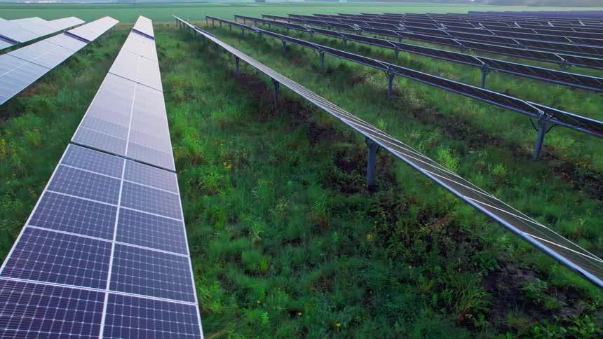 Rows of solar panels sit in a grassy field next to a farm plot