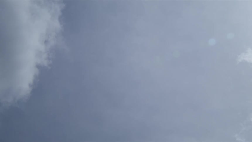 A person throws a tennis ball up in the air