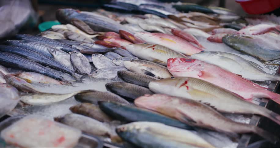 A person sprinkles salt on raw fish
