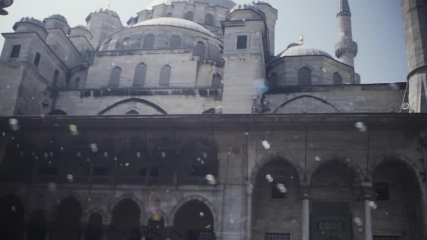 Majestic building in the background as bubbles float in front of it