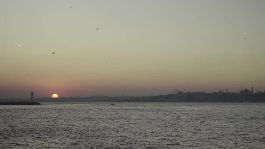 Birds fly in the sky over the water at sunset