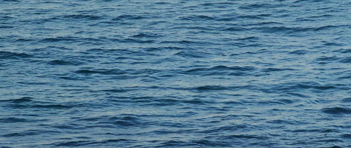 Calm ocean waves