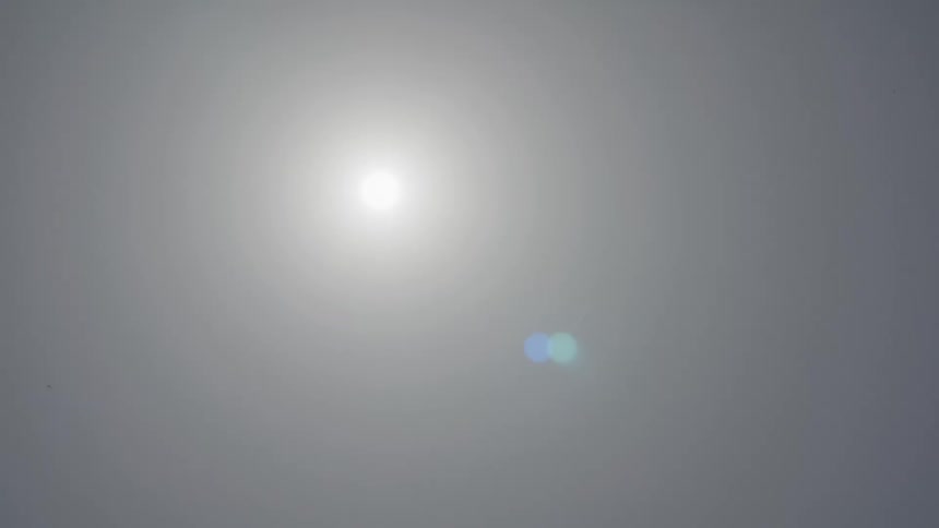 A solitary bird flies in front of the sun shining on a cloudless sky