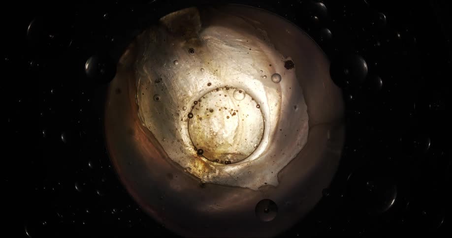 An abstract image of a circular object with various textures and colors