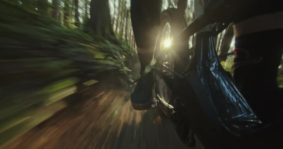 POV perspective of a person riding a mountain bike on a forest trail at sunset