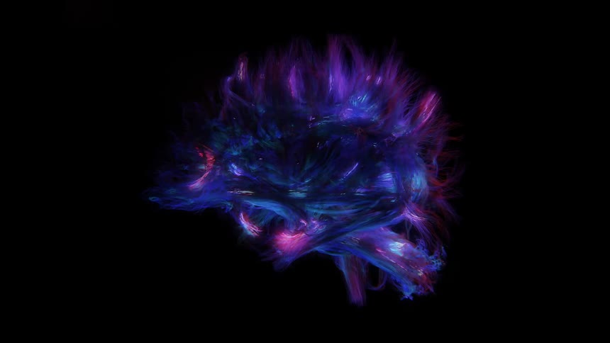 A vibrant abstract visualization resembling an artistic brain scan