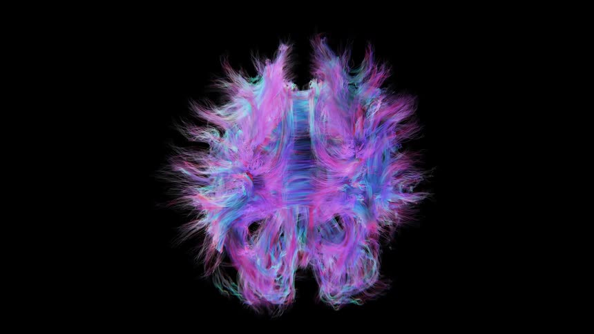 A abstract fractal pattern with blue and pink hues on a black background