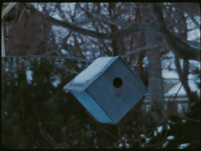 Small artificial wooden birdhouses on tree trunks