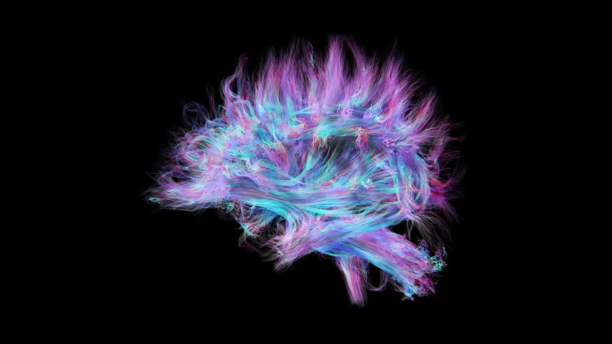 Abstract colorful brain against a black background