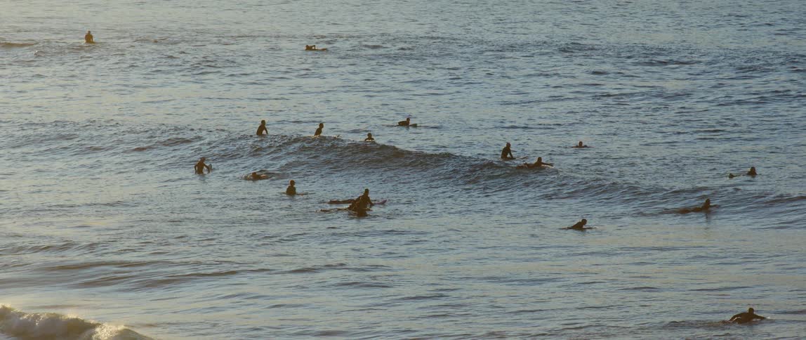 Several surfers in the ocean