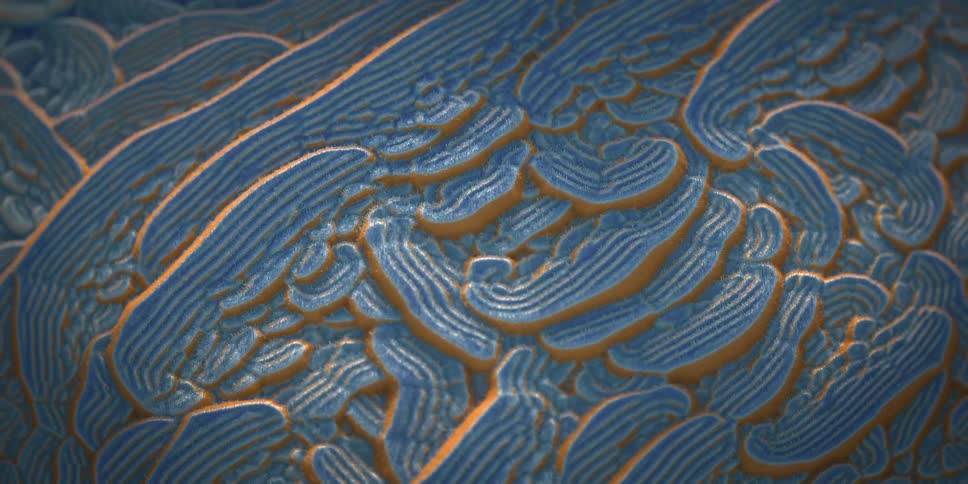 Animated cgi rendering of blue and gold rippling shapes flowing