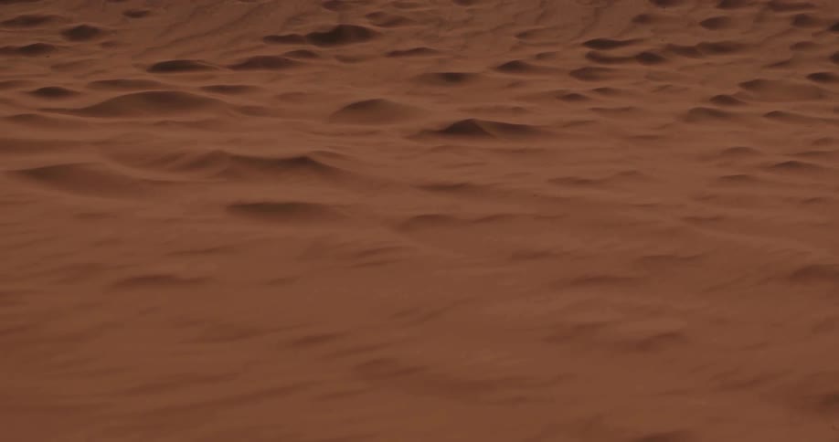 A closeup view of a sand dune with fine ripples
