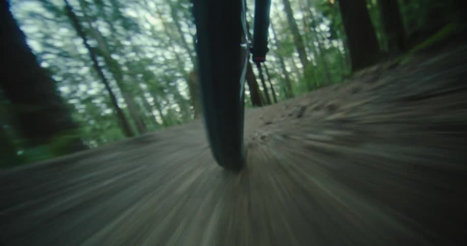 A mountain bike speeds through a forest trail