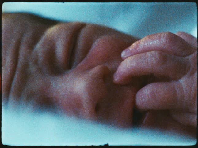Portrait of a newborn baby with a finger in its mouth