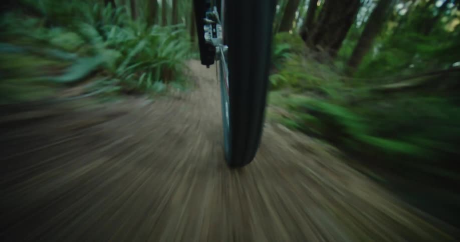 Close up of a mountain bike wheel going down a forest trail at high speed