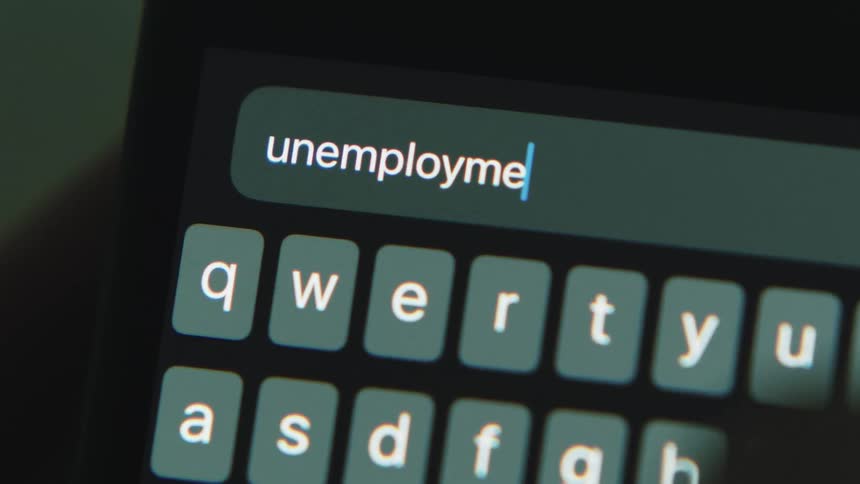 A person types a word to search on their phone
