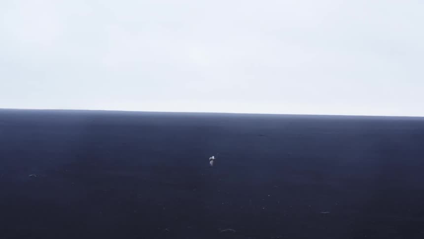 A person walks across the land