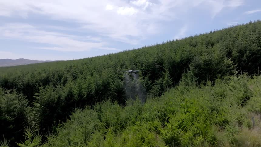 An agricultural drone flying over a forest spraying chemicals