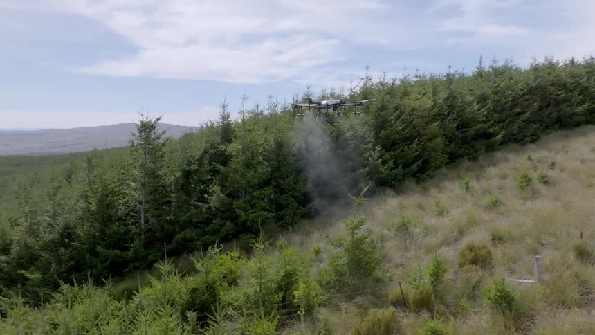 Drone sprays vegetation in a fenced pasture bordering a forest under a cloudy sky